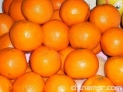 橘子

    凡芳香科柑橘属的一类水果，诸如柑子、橘子、柚子、橙、柠檬、金橘等等，都含有丰富的维生素C。维生素C是一种防癌的屏障，可以阻止强致癌物亚硝胺的形成，尤其适宜食道癌、胃癌、肺癌、喉癌患者食用。


