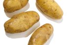 4、土豆能吃出好性格

　　土豆含有维生素C。生活在现代社会的上班族，最容易受到抑郁、灰心丧气、不安等负面情绪的困扰，土豆可以帮你解决这个难题。食物可以影响人的情绪，是因为它里面含有的矿物质和营养元素能作用于人体，改善精神状态。

　　做事虎头蛇尾的人，大多就是由于体内缺乏维生素A和C或摄取酸性食物过多，土豆可以帮你补充维生素A和C，也可以在提供营养的前提下，代替由于过多食用肉类而引起的食物酸碱度失衡。
