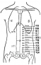 氣沖穴(大腿根里側(cè))

　　此穴下邊有一根跳動的動脈。先按揉氣沖穴，后按揉動脈，一松一按，交替進行，一直按揉到腿腳有熱氣下流的感覺為佳。

