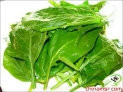 　9、菠菜

　　菠菜虽廉价而不起眼，但它属健脑蔬菜。由于菠菜中含有丰富的维生素A、C、B1和B2，是脑细胞代谢的“最佳供给者”之一。此外，它还含有大量叶绿素，也具有健脑益智作用。

