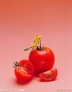 　　8、番茄。

　　据营养学家研究测定：每人每天食用50克-100克鲜番茄，即可满足人体对几种维生素和矿物质的需要。番茄含的“番茄素”，有抑制细菌的作用；含的苹果酸、柠檬酸和糖类，有助消化的功能。番茄含有丰富的营养，又有多种功用被称为神奇的菜中之果。它所富含的维生素A原，在人体内转化为维生素A，能促进骨骼生长，防治佝偻病、眼干燥症、夜盲症及某些皮肤病的良好功效。

