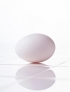 　2、鸡蛋不可以跟味精一起煮

　　鸡蛋本身含有多量的谷氨酸及一定量的氯化钠，若加入味精，加温后这两种物质会生成一种新的物质--谷氨酸钠，即味精的主要成分，鸡蛋本身的鲜味反而被掩盖。

