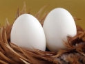 8、吃完鸡蛋后不要立即吃消炎药

　　鸡蛋富含蛋白质，炎症发作时要特别注意蛋白质的摄入。所以当炎症发作时，切记不要在吃鸡蛋后吃药。特别是消化道疾病，有腹泻症状的，更加不能吃鸡蛋。因为鸡蛋含蛋白质多，会加重胃肠负担，相对对药效有影响，特别是脂肪泻。如果是其它炎症，如呼吸系统、泌尿系统等，从西医角度来说是没有多大影响的。

