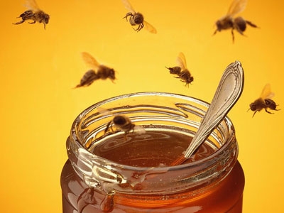 蜂蜜15种吃法5作用