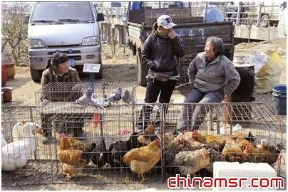 上海4歲感染H7N9男童康復(fù)