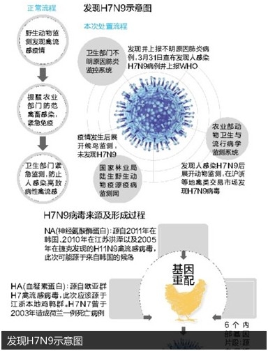 上海檢出H7N9后曾辟謠