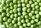 豌豆：　　《本草纲目》记载，豌豆具有“去黑黯、令面光泽”的功效。现代研究更是发现，豌豆含有丰富的维生素a原，维生素a原可在体内转化为维生素a，起到润泽皮肤的作用。