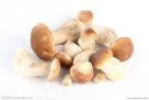 蘑菇：　　蘑菇营养丰富，富含蛋白质和维生素，脂肪低，无胆固醇。食用蘑菇会使女性雌激素分泌更旺盛，能防老抗衰，使肌肤艳丽。