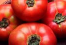 1、番茄
番茄的酸性很高，可能刺激胃产生更多的胃酸。因此，吃太多番茄会导致泛酸、烧心等症状。用番茄做成的番茄酱也如此。