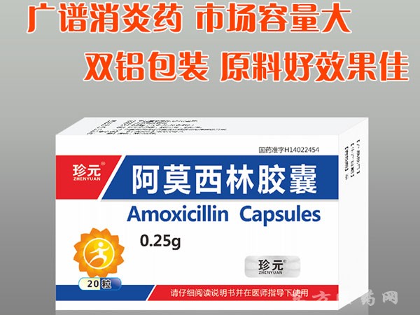 阿莫西林胶囊招商 防感染去炎症