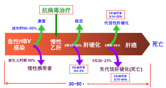 圖片4